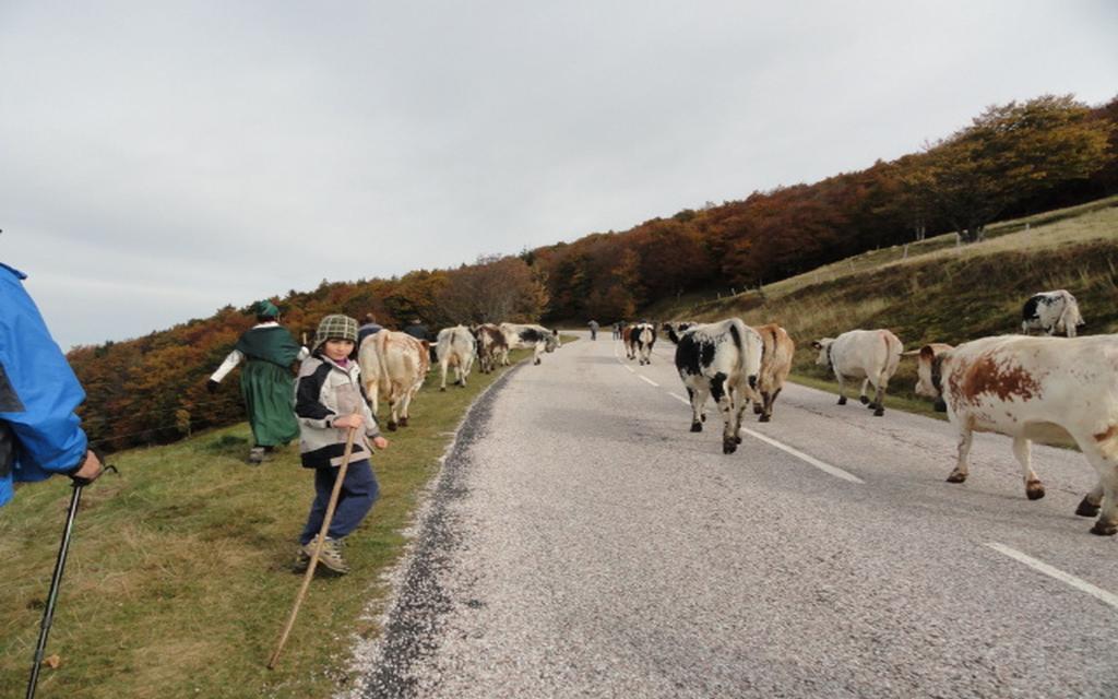 Les Chantenées La Bresse Exterior foto