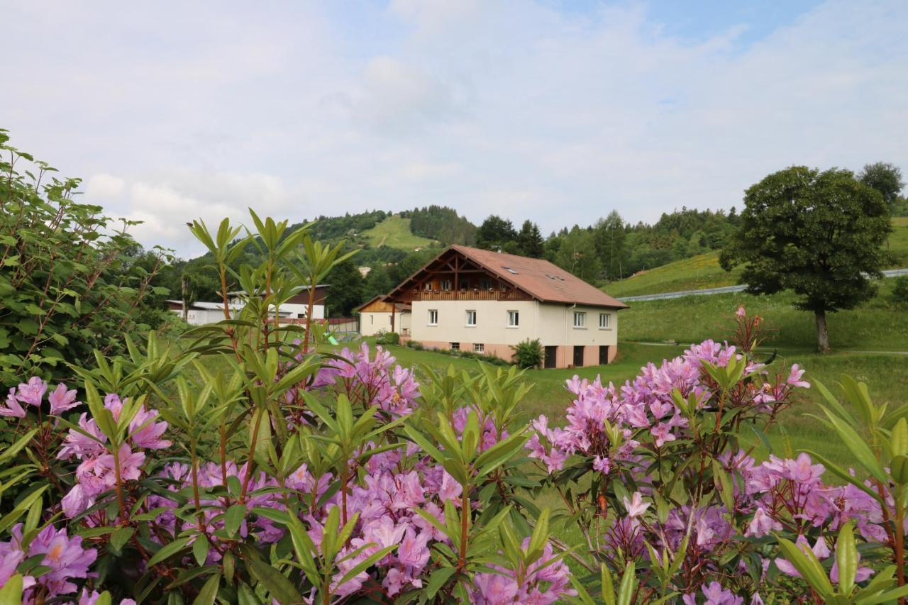 Les Chantenées La Bresse Exterior foto